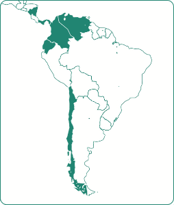 Phicus en latinoamérica